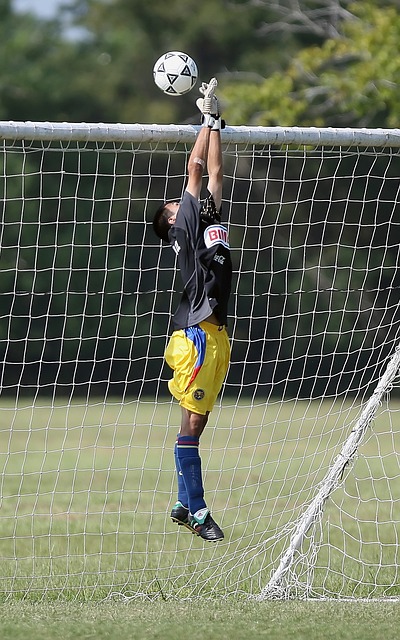 重要性無疑 重要性無疑