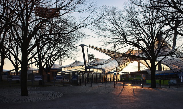 的明显优势 的明显优势