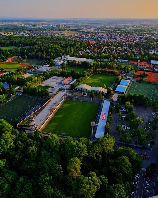 他们的成长 他们的成长