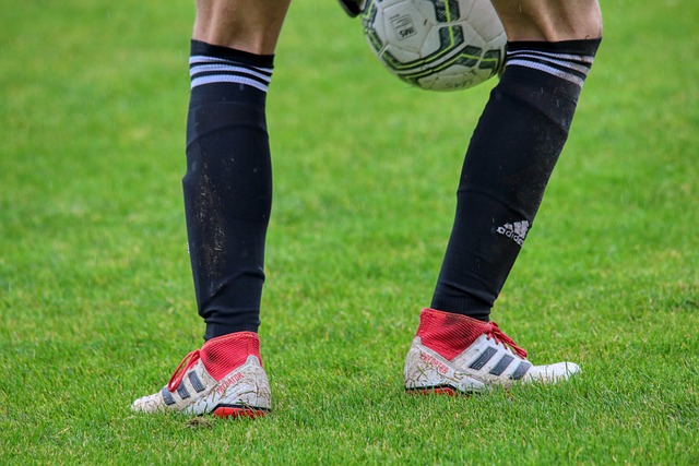 言屡见不鲜 言屡见不鲜