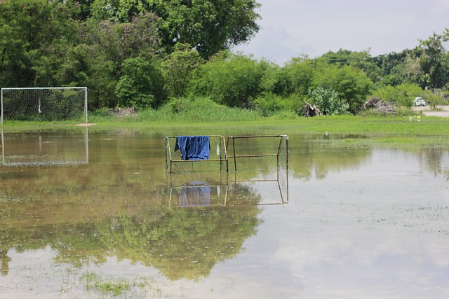 单的技艺展 单的技艺展