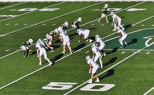 她的队友和 她的队友和