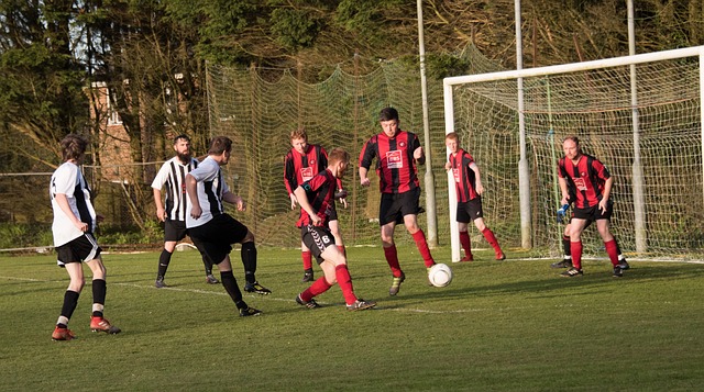 于自己的辉 于自己的辉