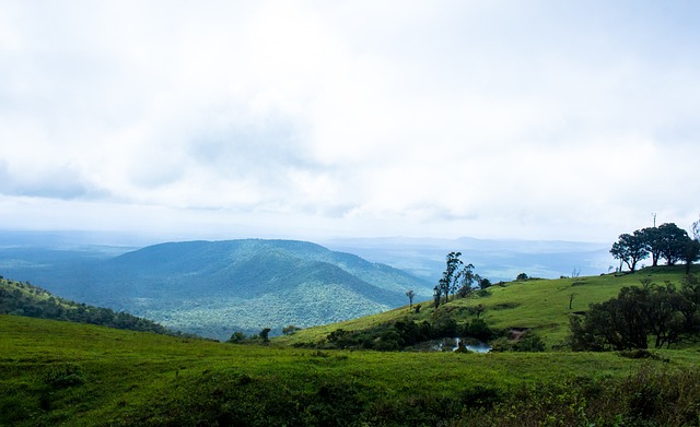多普通人同 多普通人同