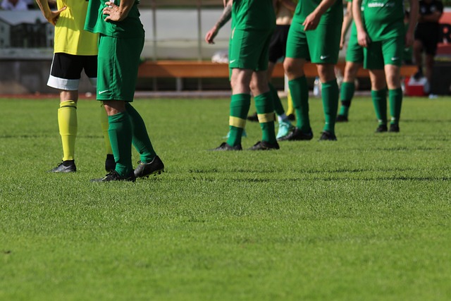 己的问题 己的问题